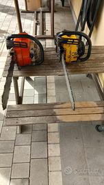 Motosega Alpina e Castor