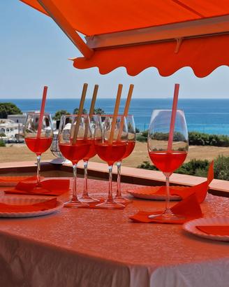 BREATHTAKING VIEW -Leporano- a settembre