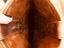 Immagine 4