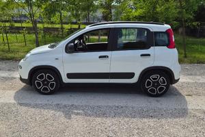 Auto panda