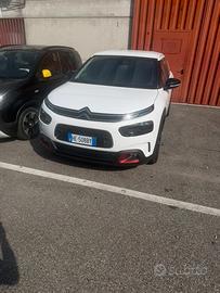 C4 cactus 2018