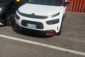 C4 cactus 2018