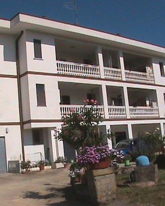 Paliano: la casa ampia, luminosa nel relax