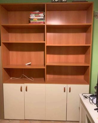 Libreria con 4 ante, bicolore.