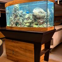 Mobile + Acquario juwel vision 260 completo