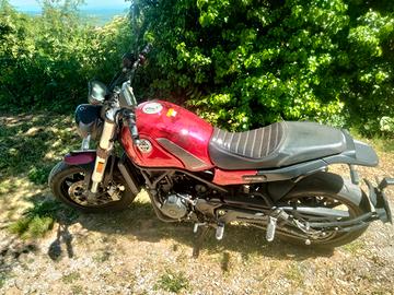 Benelli Leoncino 500
