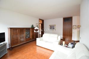 Rif.AS530| casa ind. montebelluna