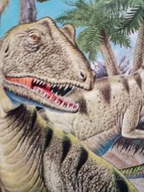 LIBRO SULL EVOLUZIONE DEGLI ANIMALI 