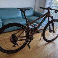 Santa Cruz Chameleon