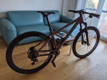 Santa Cruz Chameleon