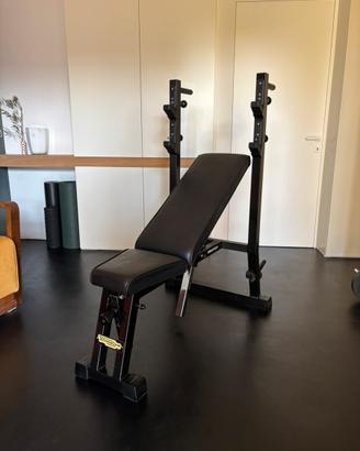 Panca Technogym con Dip-station