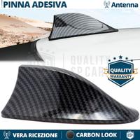 Antenna PINNA SQUALO per FORD in Fibra di CARBONIO