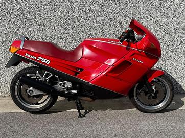 Paso 750