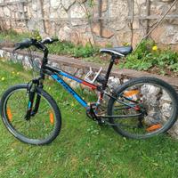 Bici 24 trek