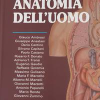 anatomia dell uomo