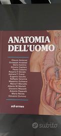 anatomia dell uomo