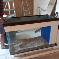 acquario grstis