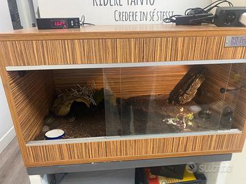 Terrario rh frank’s