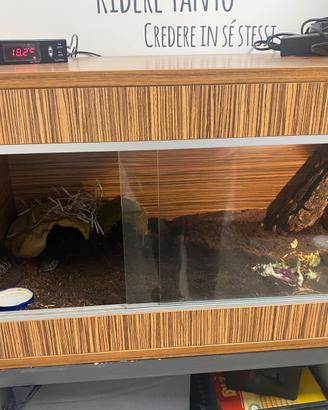 Terrario rh frank’s