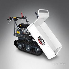 Motocarriola mt 300 s-bs