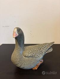Oca Lesser Whitee-fronted Goose - Paul Hoff