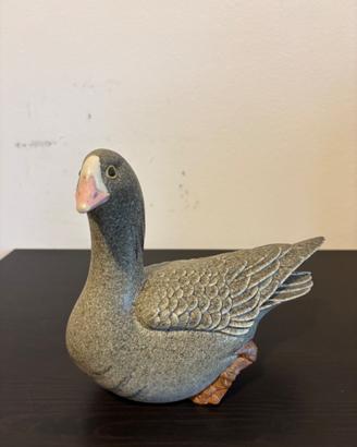 Oca Lesser Whitee-fronted Goose - Paul Hoff
