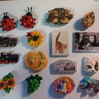 CALAMITE da frigo