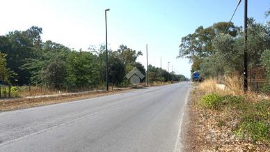 TER. AGRICOLO A EBOLI