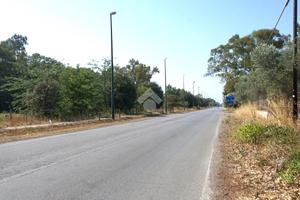 TER. AGRICOLO A EBOLI