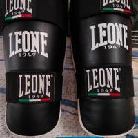 Paratibie Leone boxing 