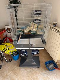 Gabbia per pappagalli