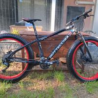 Fat bike Bottecchia