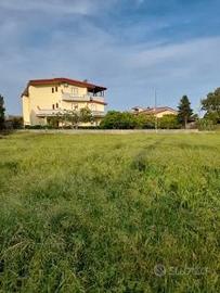 RUGGERO Terreno edificabile Via dell'agrifoglio