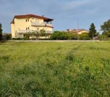 RUGGERO Terreno edificabile Via dell'agrifoglio