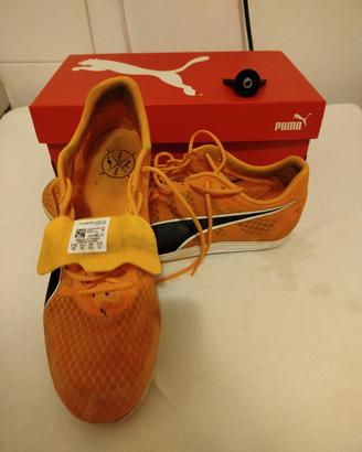 Scarpe chiodate atletica Puma