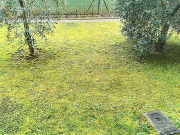 BORGO S LORENZO P TERRA 3 VANI GIARDINO Rif A154