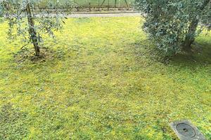 BORGO S LORENZO P TERRA 3 VANI GIARDINO Rif A154