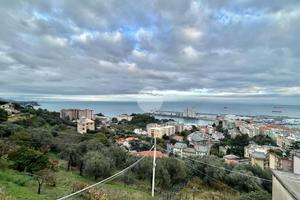 2 LOCALI A SAVONA