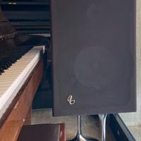 COPPIA CASSE HI-FI INFINITY RSb