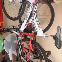 bicicletta olmo