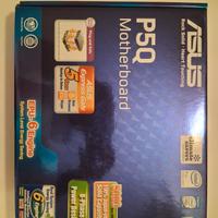 scheda madre Asus P5Q 