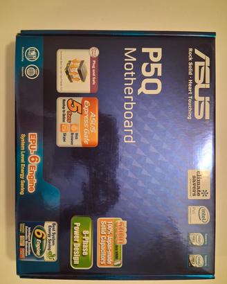 scheda madre Asus P5Q 