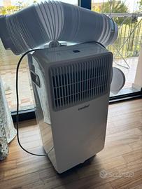 Pinguino aria fredda/deumidificatore