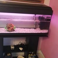 Acquario da 100 litri con mobiletto incluso,