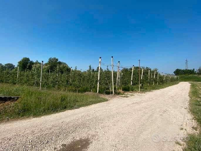 RGE 133/2022 Tribunale Verona Lotto 2) - Vista 3