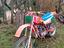 Immagine 2