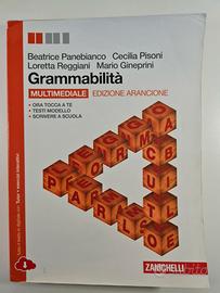 Grammabilità. Ediz. arancione. Con espansione