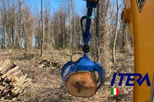 Pinza Legna Tronchi Pietre IPL1100PRO