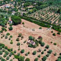 Caniga. Casa indipendente con terreno
