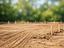 Immagine 9